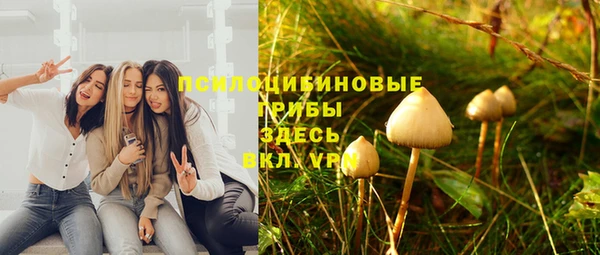трава Белокуриха
