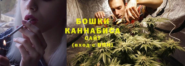 трава Белокуриха