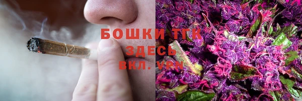 трава Белокуриха